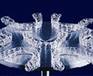 invisalign